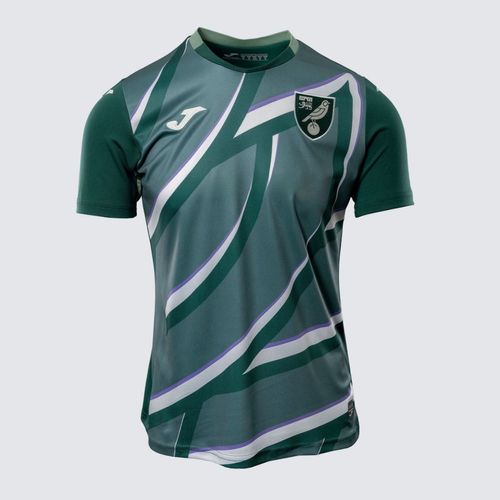 Camisa Joma Norwich II 25/26 - Verde